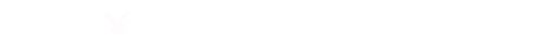 6619317f15dc72253efde66b_The_Independent_logo_wordmark-p-500